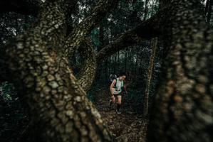 BIB: 
                            <button type="button" onclick="openModal(25679244)" class="btn btn-primary btn-sm float-right btn-popup" data-toggle="modal" data-target=".modal-high-quality">
                        <i class="fas fa-shopping-cart"></i> Add to Cart
                    </button>
                                            <button type="button" onclick="isThisMe(25679244, true)" class="btn btn-success btn-sm float-right btn-popup btn-isme hidden" data-toggle="tooltip" data-placement="bottom" title="นี่คือรูปของคุณใช่ไหม คลิกที่นี่เพื่อเอาเข้าอัลบั้ม">
                        <i class="fas fa-plus"></i> Add to album
                    </button>
                    <button type="button" onclick="isThisMe(25679244, false)" class="btn btn-warning btn-sm float-right btn-popup btn-isnotme hidden">
                        <i class="fas fa-ban"></i> Remove from album
                    </button>